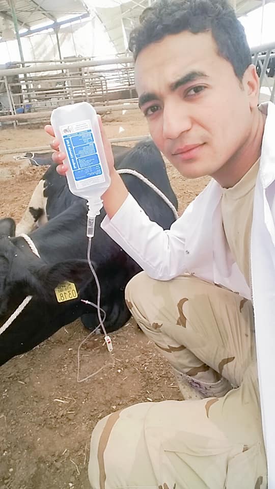 vet care"العيادة البيطرية الشاملة"