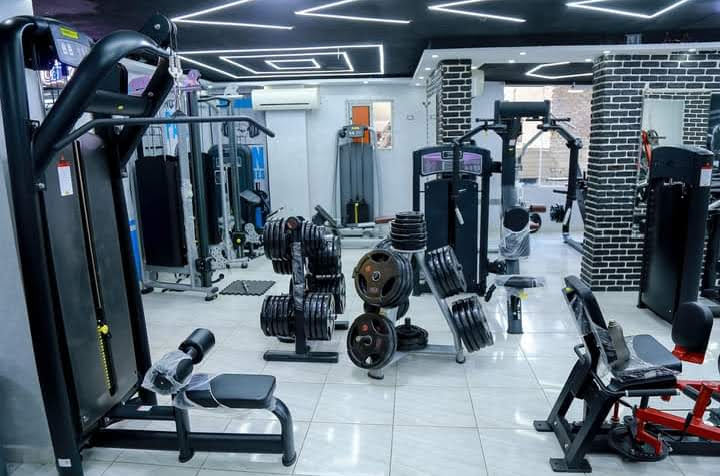 Lion's Gym