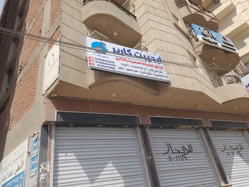 شركة ايجيبت كارير لالحاق العمالة المصرية بالخارج - صورة 2