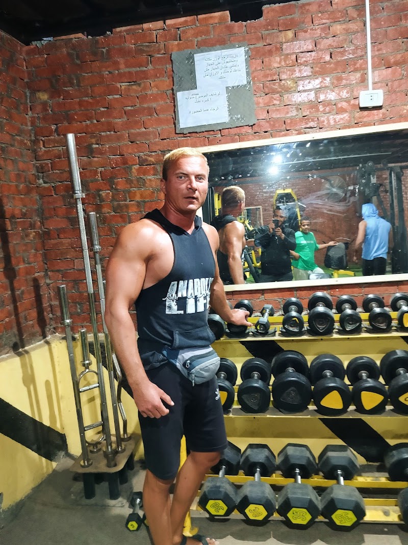 Lion Gym - صورة 2