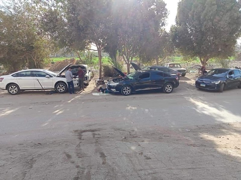 مركز الاسد الفرنسي الفيوم - لصيانة السيارات الفرنساوي - Photo 2