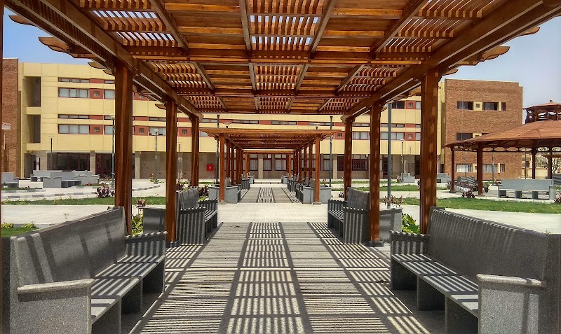 Ismailia Technical health institute