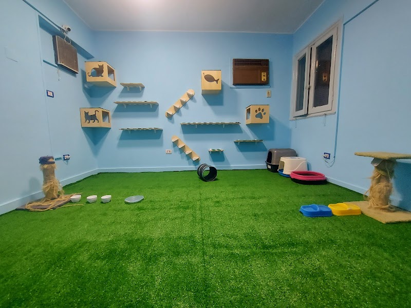 British Animal Hospital - Heliopolis - صورة 1