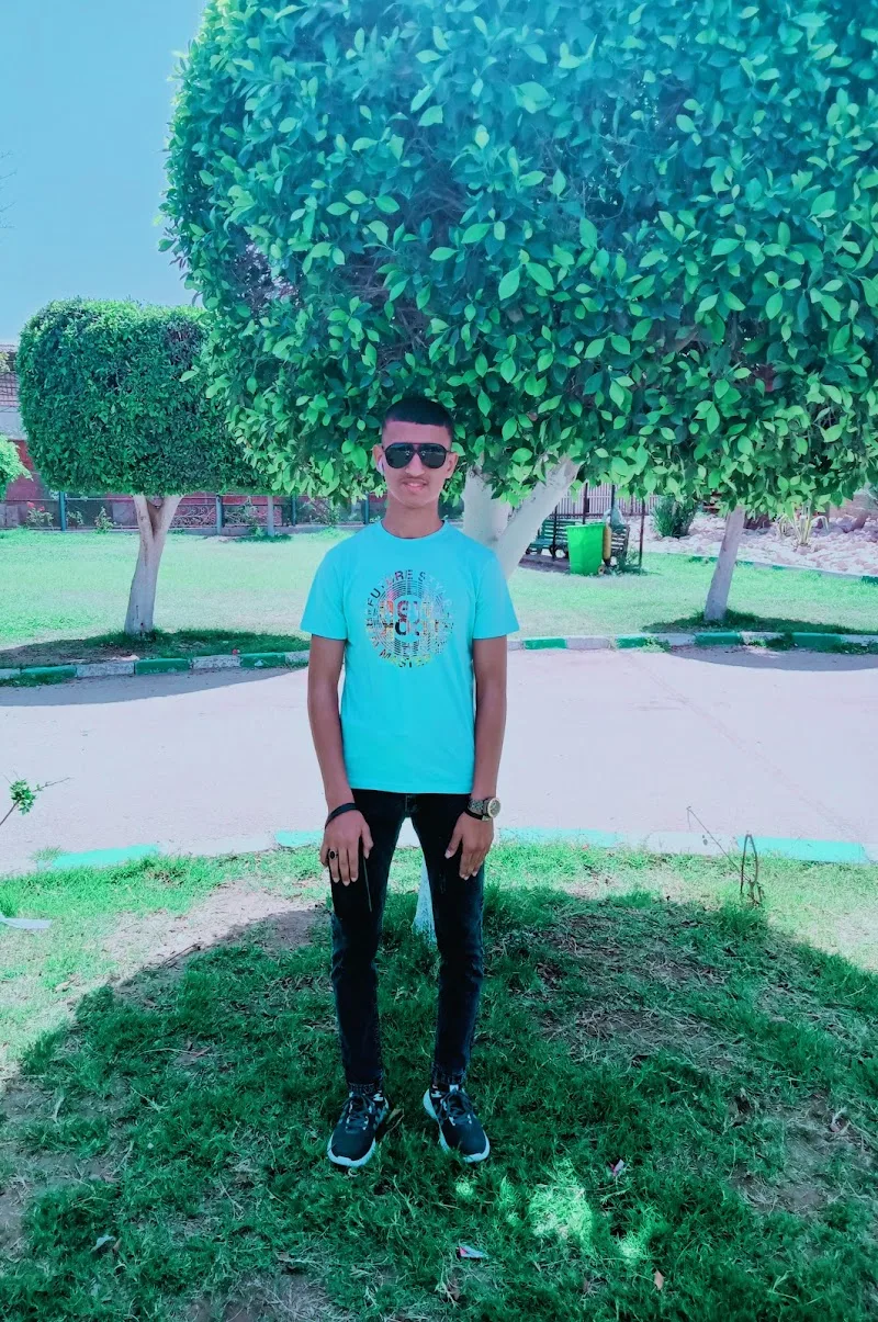 فندق جزيرة الورد - صورة 2