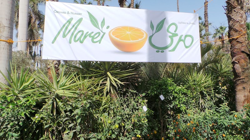 Marei Orchards and Nursery - صورة 2