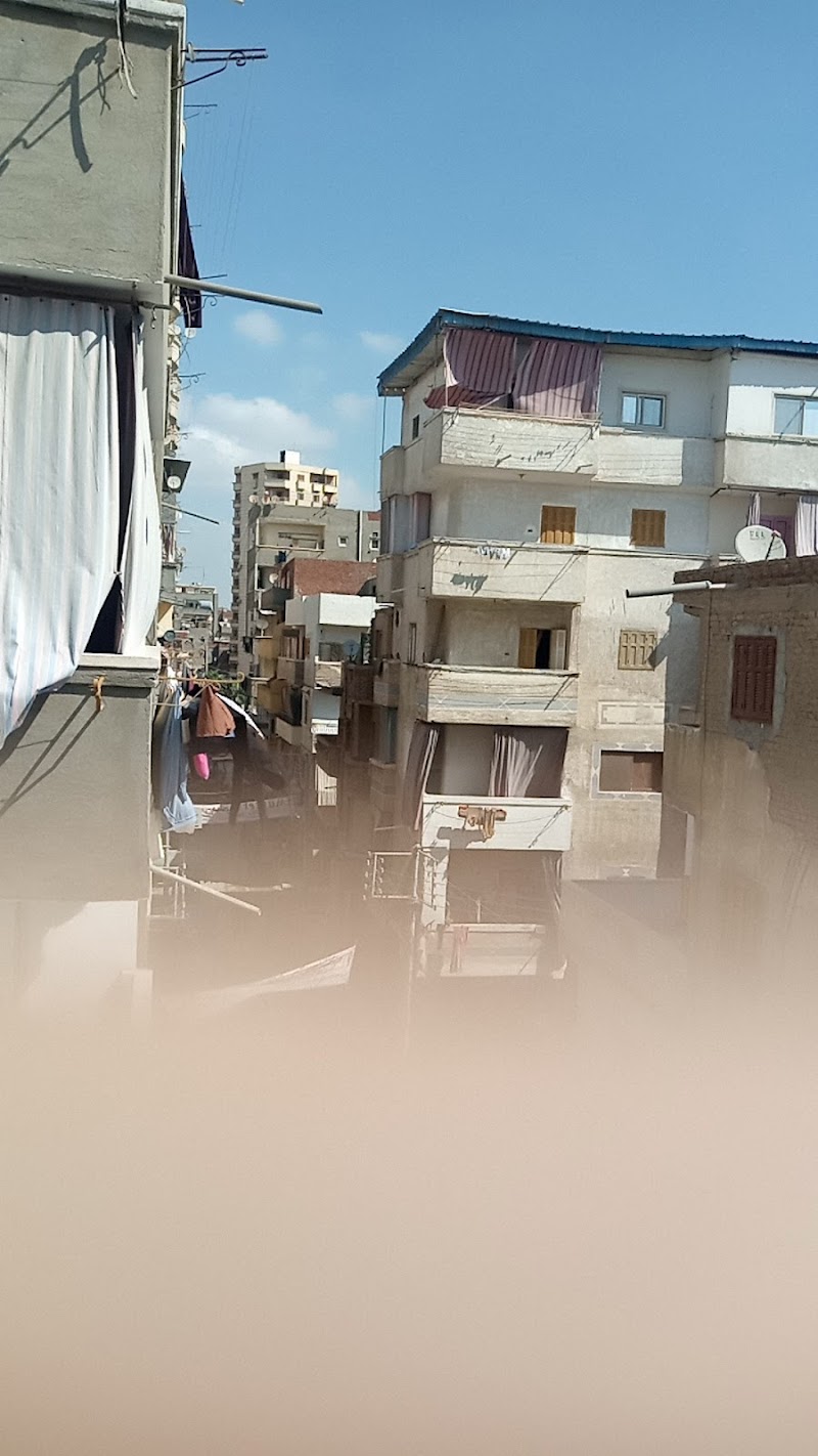 مشتل كرم للزهور ونباتات الزينه - صورة 1