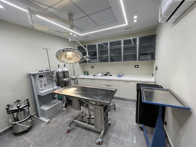 British Animal Hospital - Sheraton