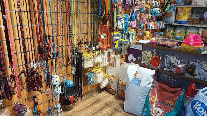 The pet Mart Egypt - Photo 3