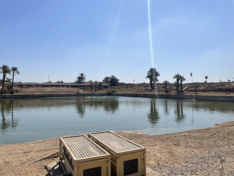 Luxor Egypt - صورة 2