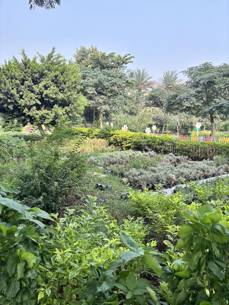 مشتل مصر الجديدة - صورة 3