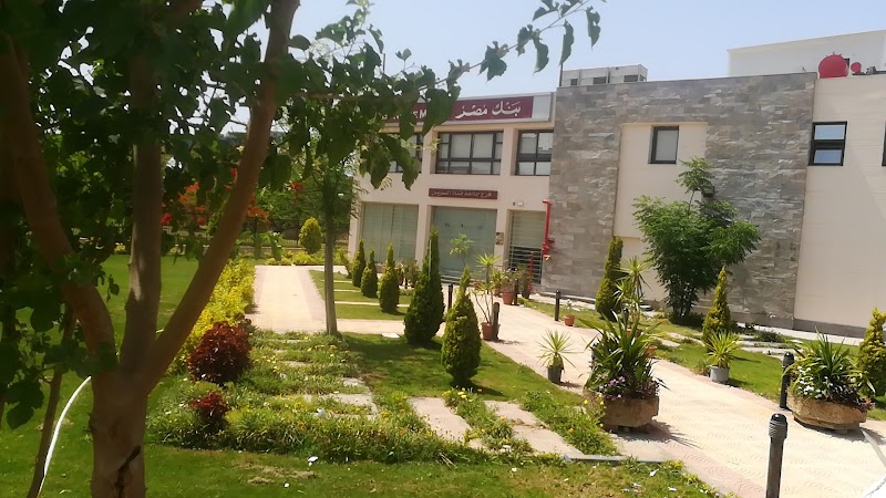 Banque Misr Suez Canal University Branch - Photo 2