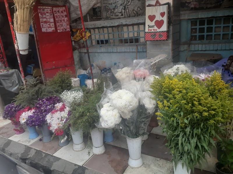 زهور عصفور الجنه