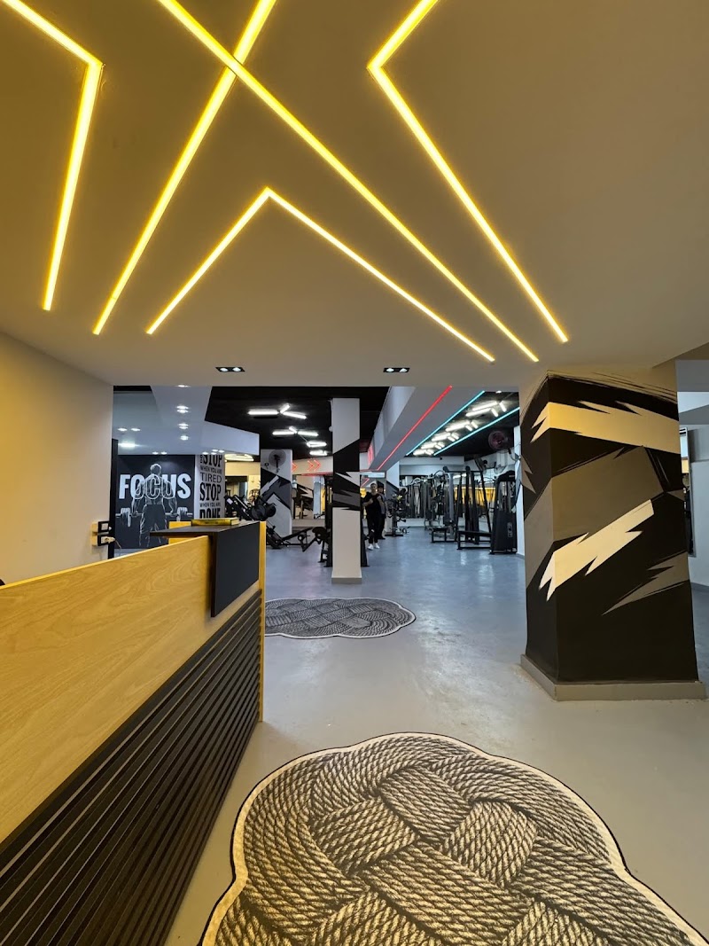 A1 Gym