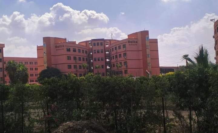 Delta Institute for Systems and Information