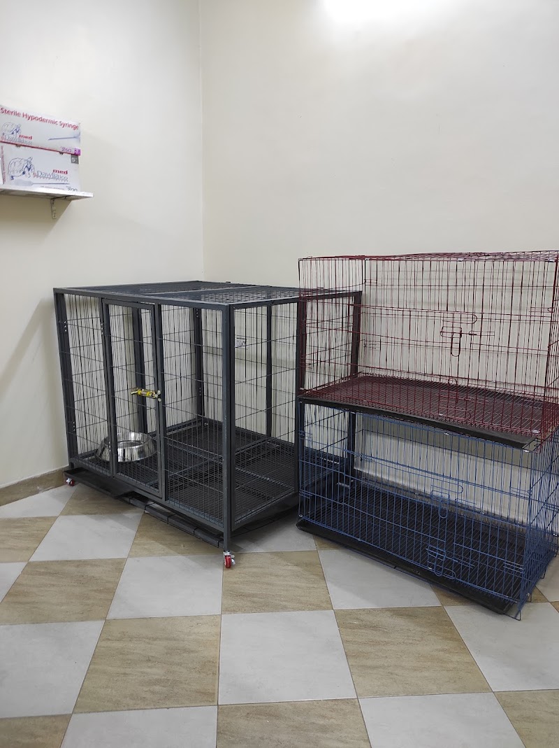 Jungle care hospital - Photo 2