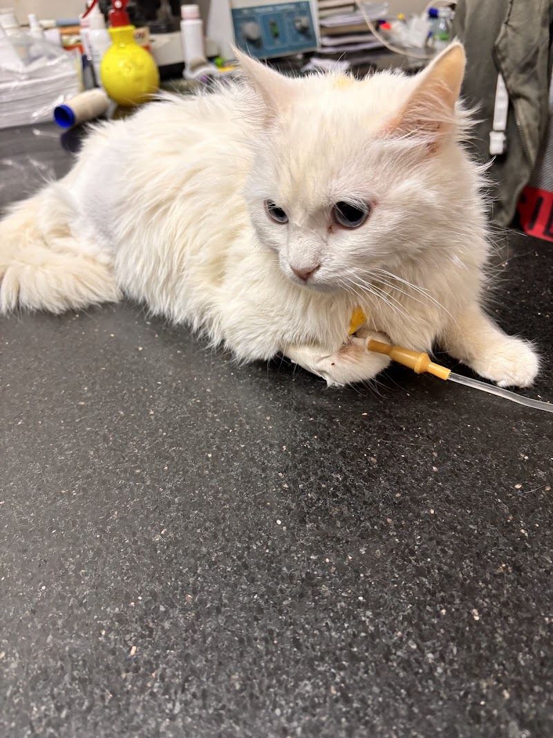 Pets Pal Veterinary Clinic Official