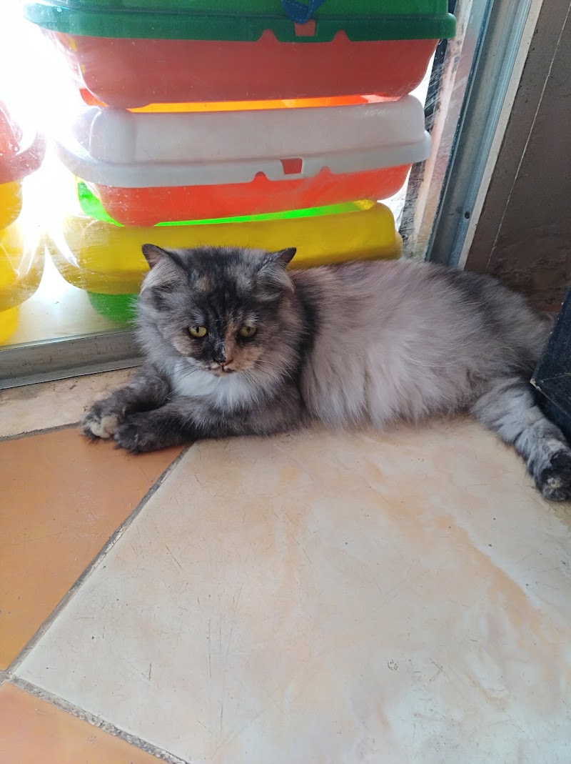 Dr. Mohamed Fathy Salama's Pet Clinic - Photo 1