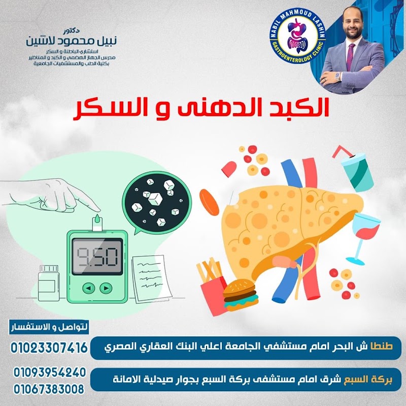 Nabil lasheen عياده دكتور نبيل لاشين استشاري الباطنه والمناظير والغدد والسكر) - صورة 3