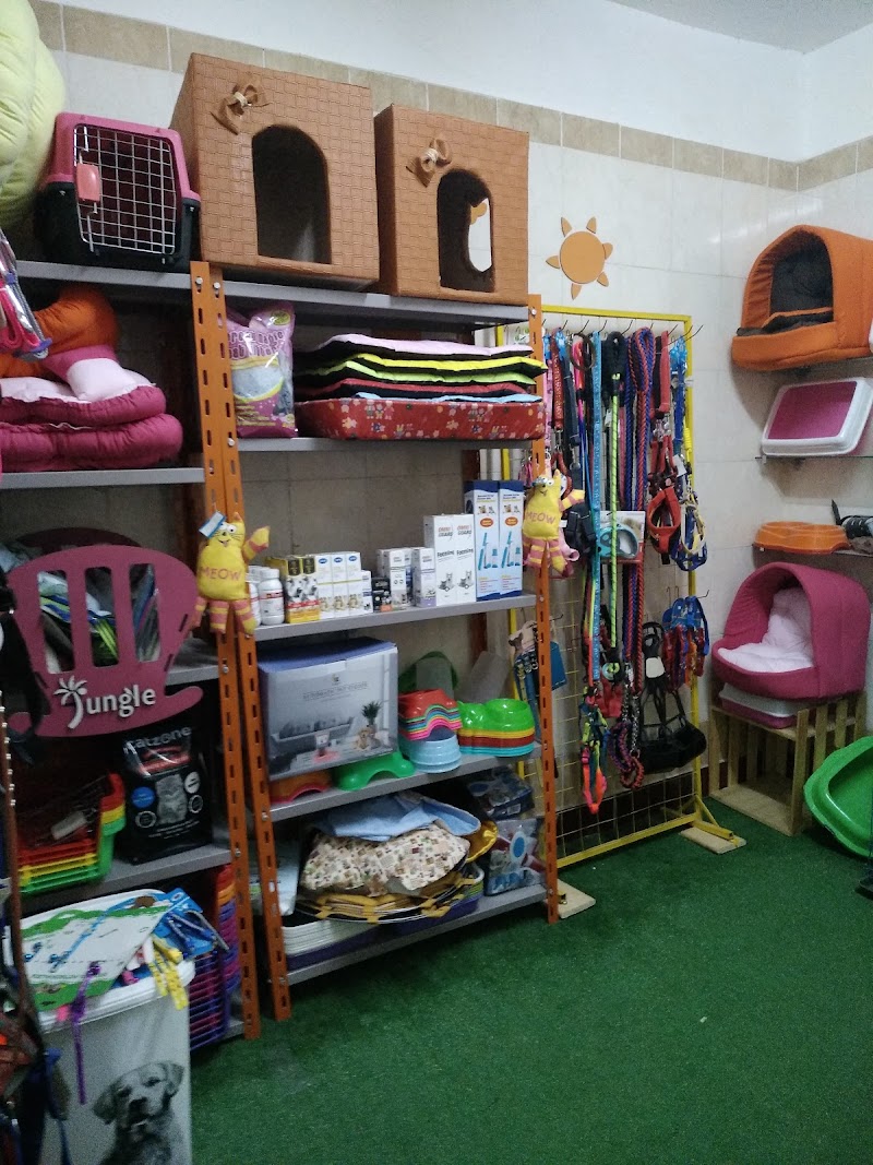 Jungle pet clinic - صورة 1