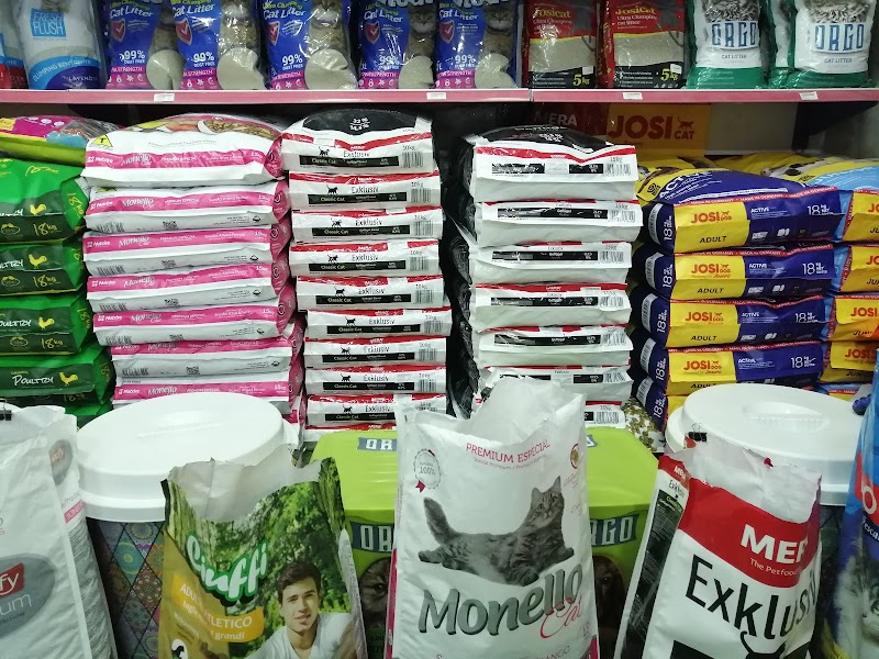 Pet world - Photo 1