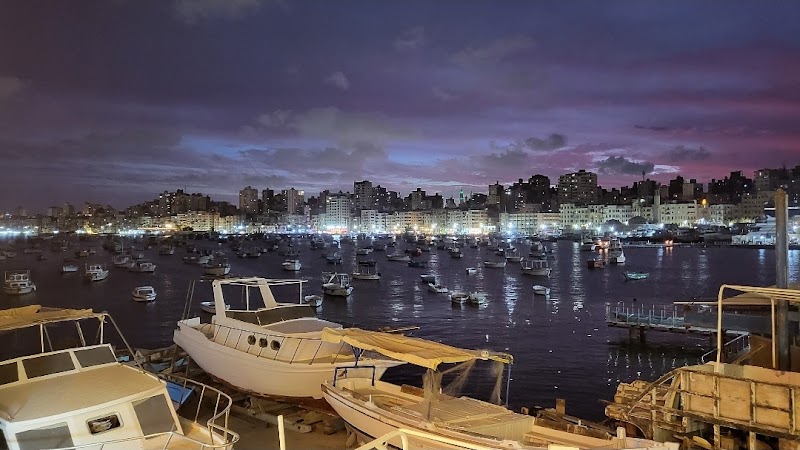 سيدرا - صورة 3