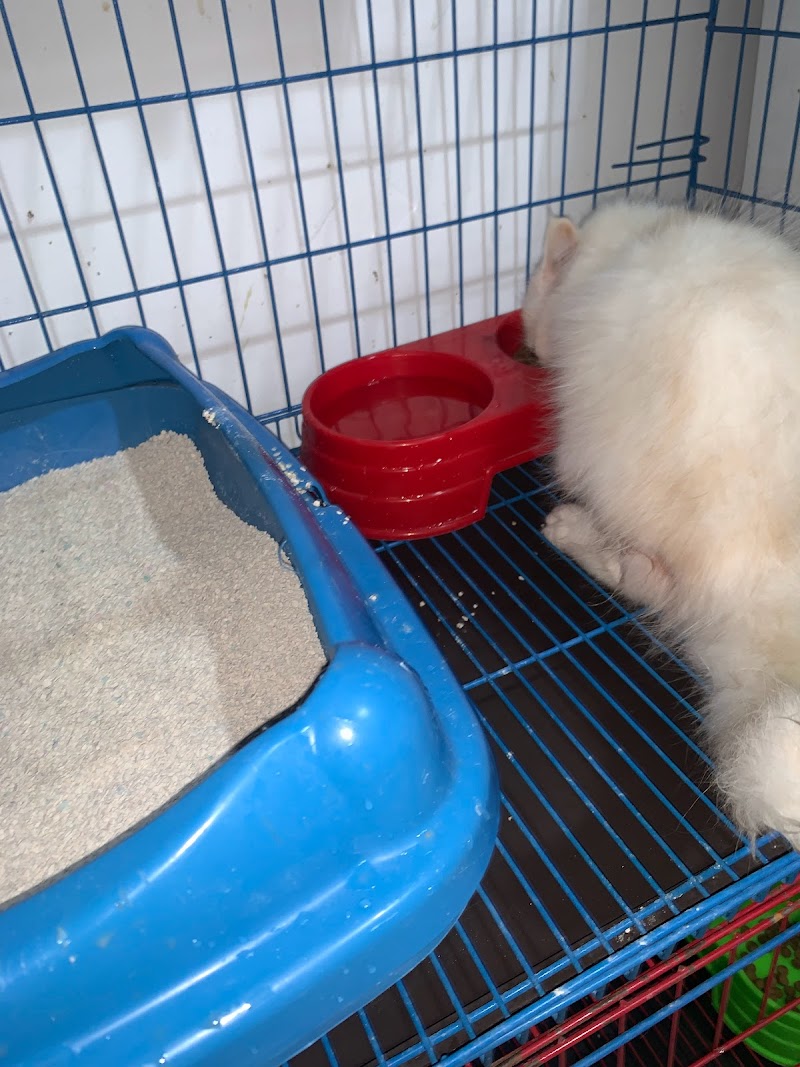 العيادة البيطرية Super Pets Clinic - Photo 3
