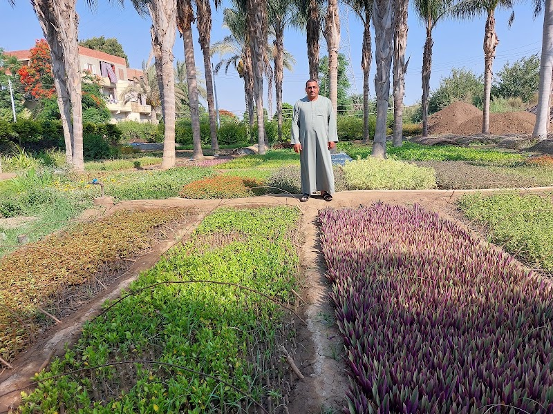 Tantawi Nurseries - Photo 3