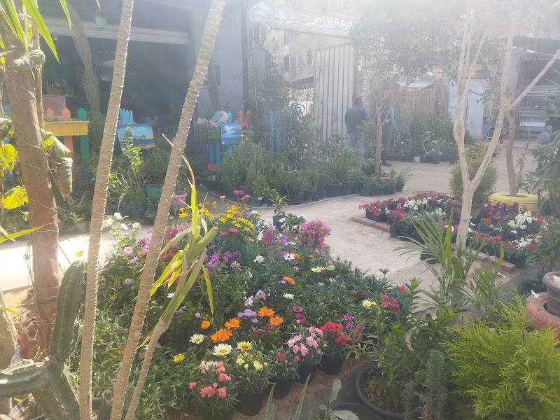 Kingdom of Nature - Photo 1