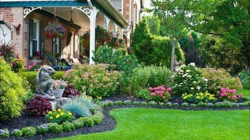 Engineer's Nursery: Ornamental Plants, Fruit Trees, and Vegetable Seedlings