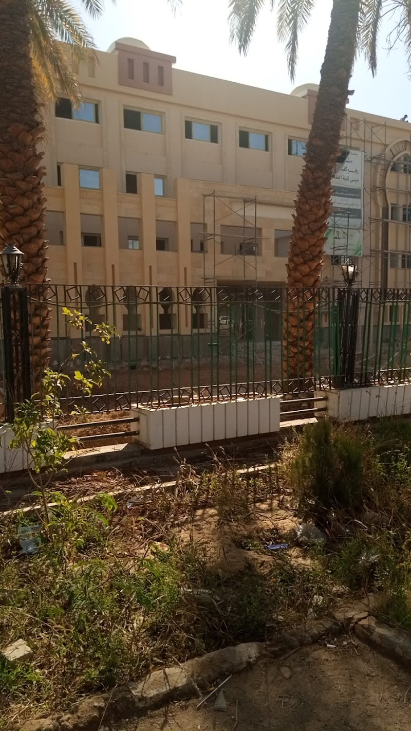 Faculty of Medicine - New Valley University - Photo 1