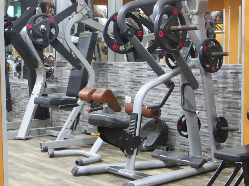 Gym life fitness - صورة 2