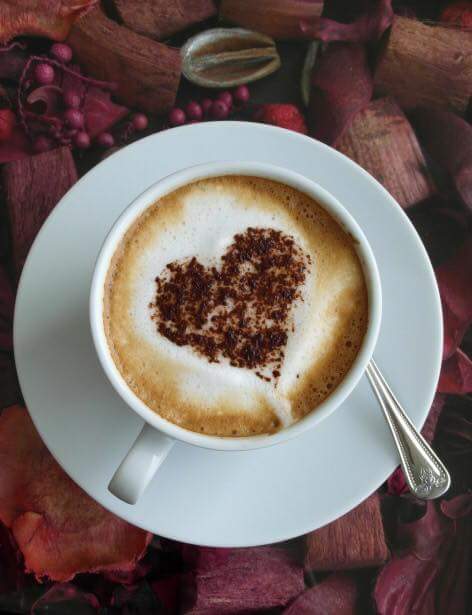 Trefl Cafe and Restaurant - صورة 2