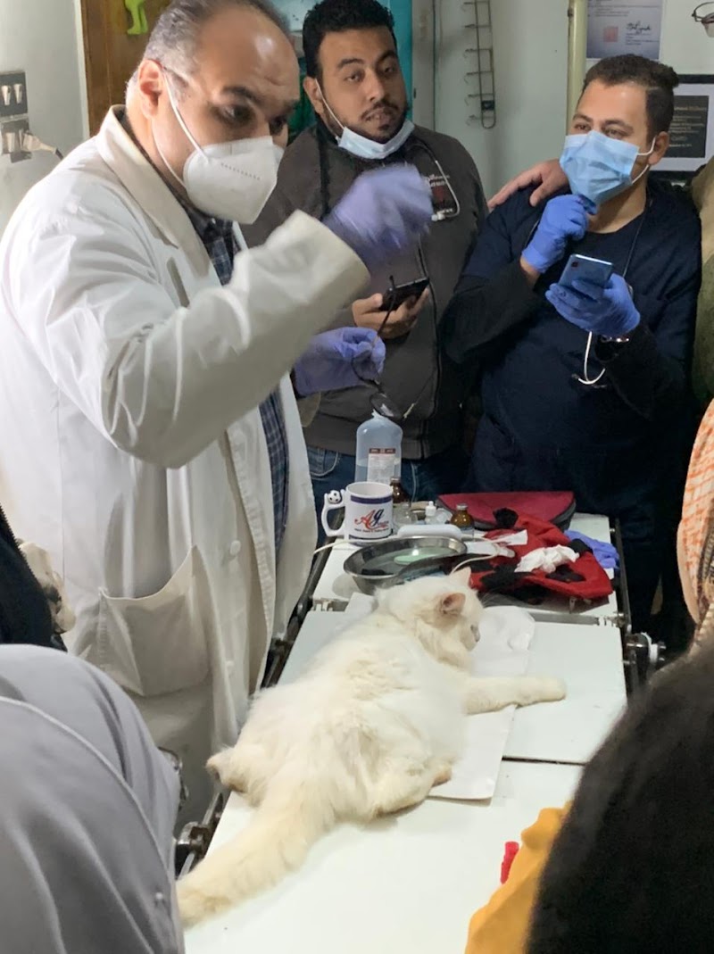 Pet Smile Clinic-عيادة الحيوانات الأليفه -ا.دتيمور الشري - Photo 1