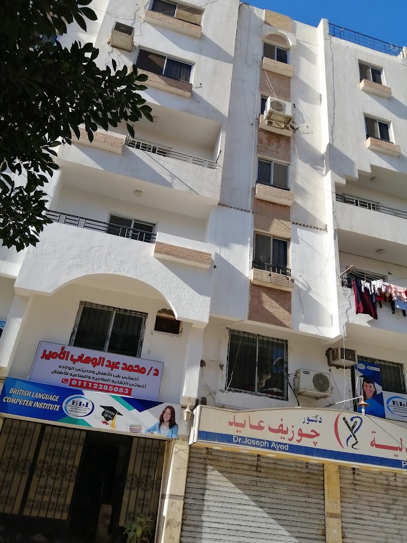 المعهد البريطانى للغات والكمبيوتر الاسماعيلية