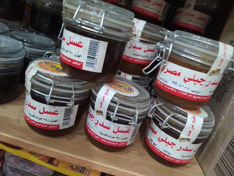 مملكة النحل بالسويس - صورة 1