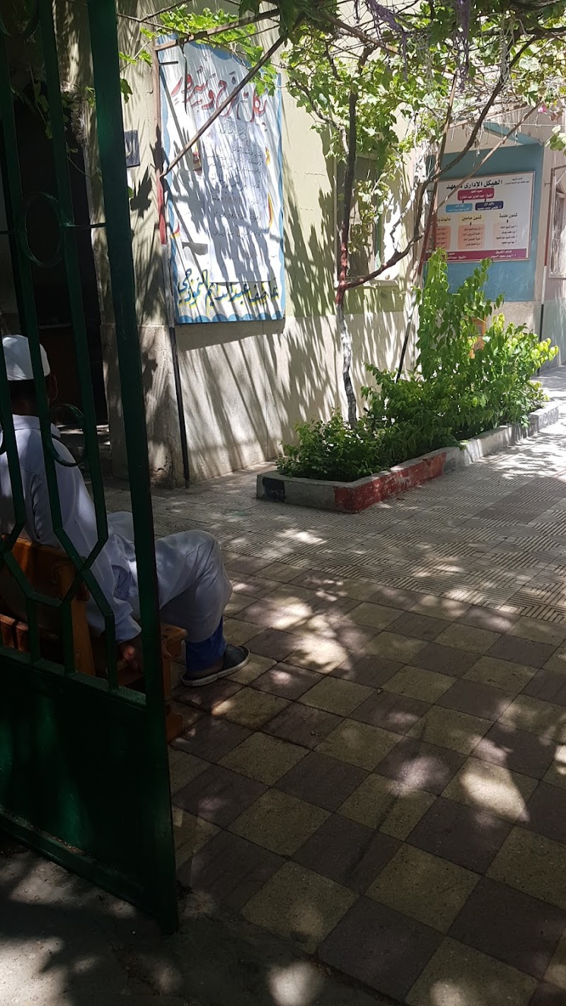 معهد عاطف عبدالدايم الابتدائي النموذجي - صورة 1