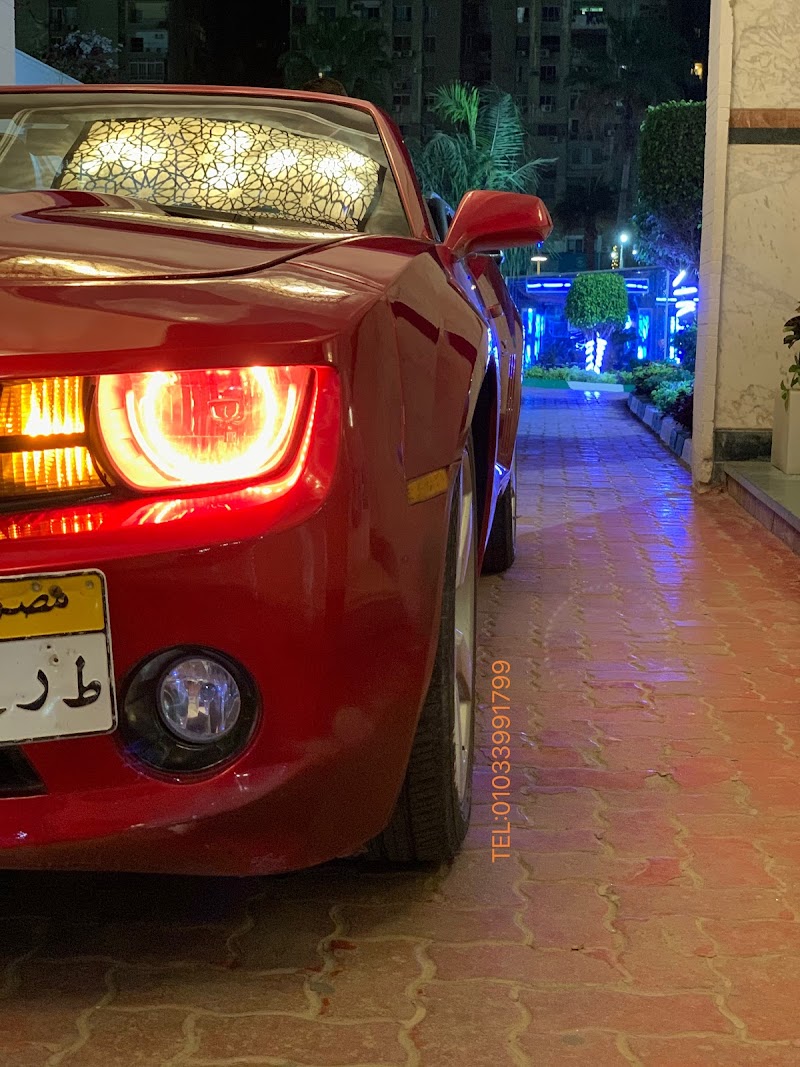 صالون داليا السيسي - صورة 2