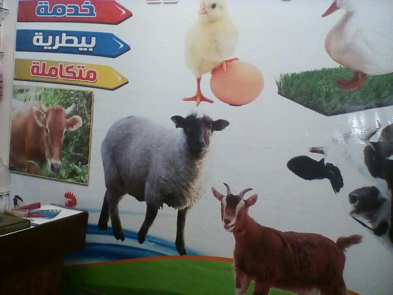عيادة الدكتورة سارة البيطريه