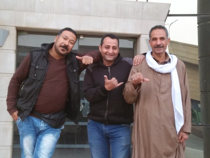 شركة ابو العلا للنسيج والتريكو والصباغة - صورة 2