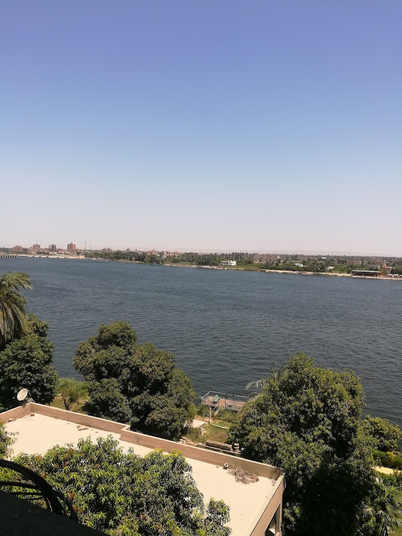 The Arab Contractors - Assiut - Photo 2