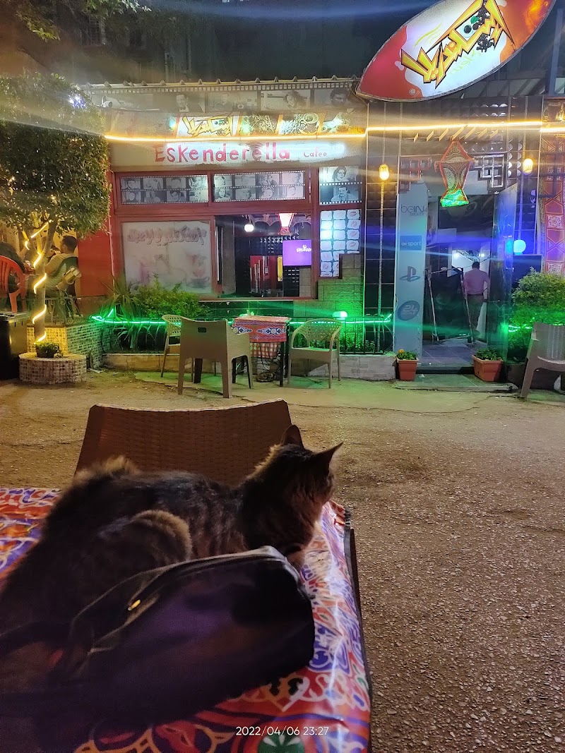 إسكندريلا كافيه - صورة 1