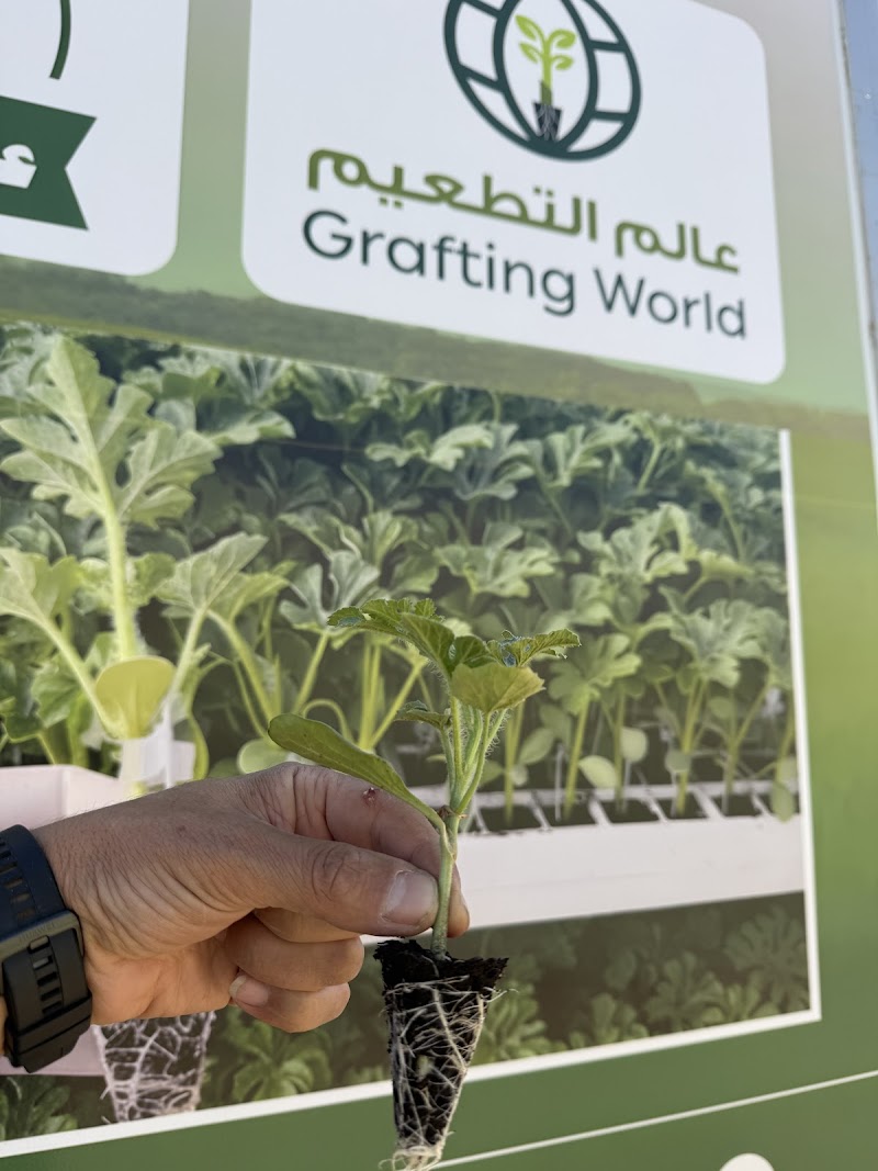 عالم التطعيم - Grafting World