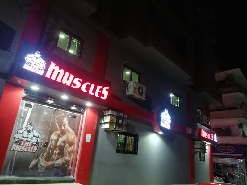 The muscles gym - صورة 1