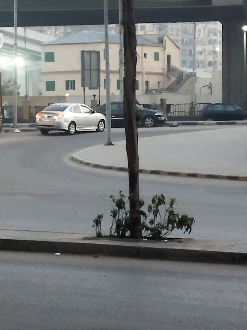 استوديو النيل - صورة 2