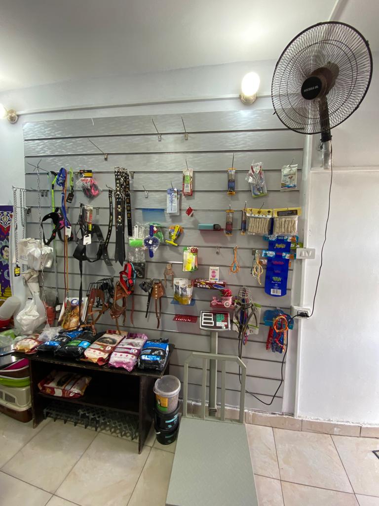 Vet Land - Elobour - Photo 1