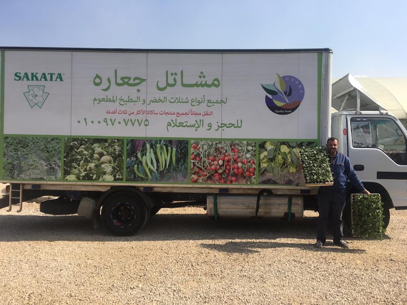 مشاتل جعاره - فرع الاسماعيليه
