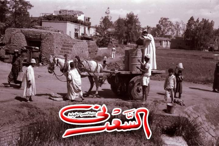 ستديو السعدنى - Photo 1