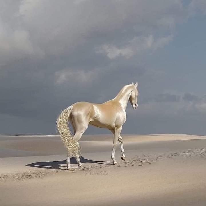 المستشفي البيطري بتلا - Photo 2