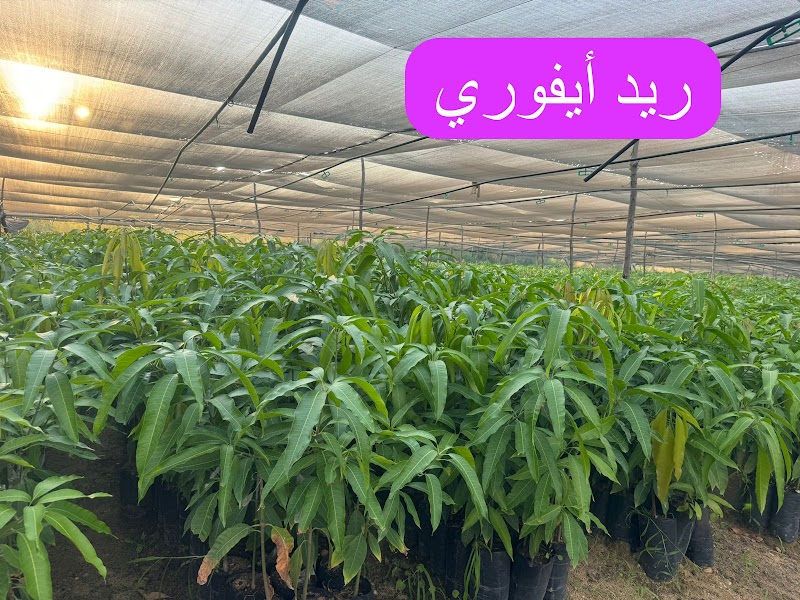 Elite Agricultural Development