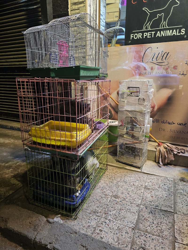 Civa Clinic For Pet Animal - صورة 1